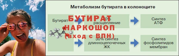 apvp Богданович