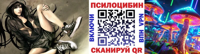 продажа наркотиков Нефтеюганск Псилоцибиновые грибы Psilocybe